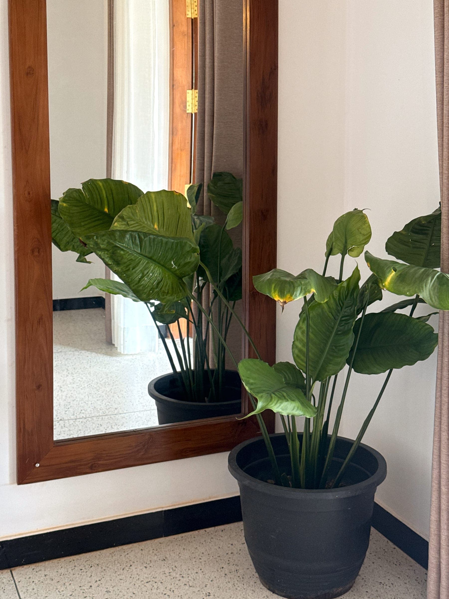 Tall teak-framed mirror and a potted plant in the corner of the bedroom