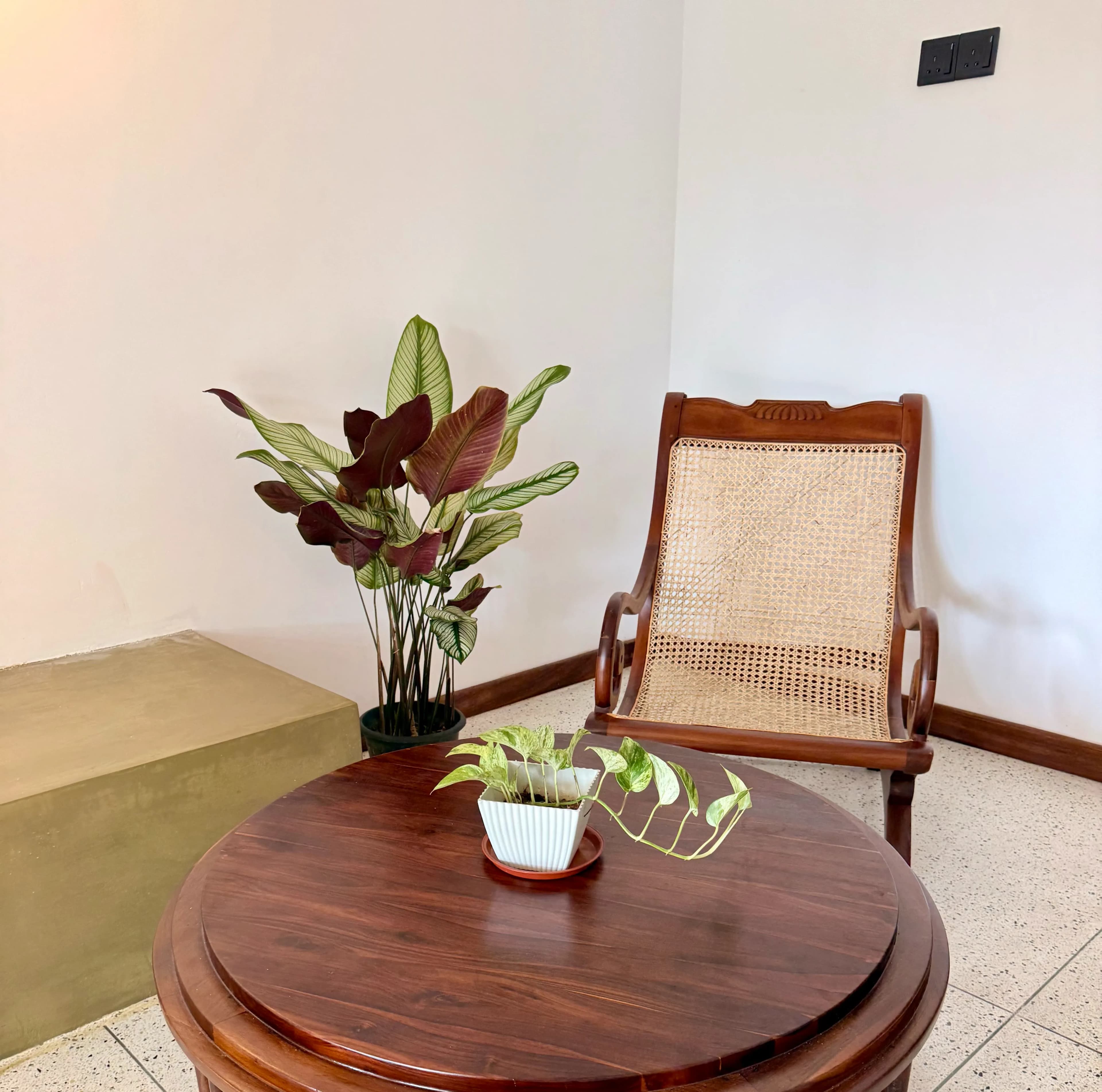 Villa de Mango Hues hero background