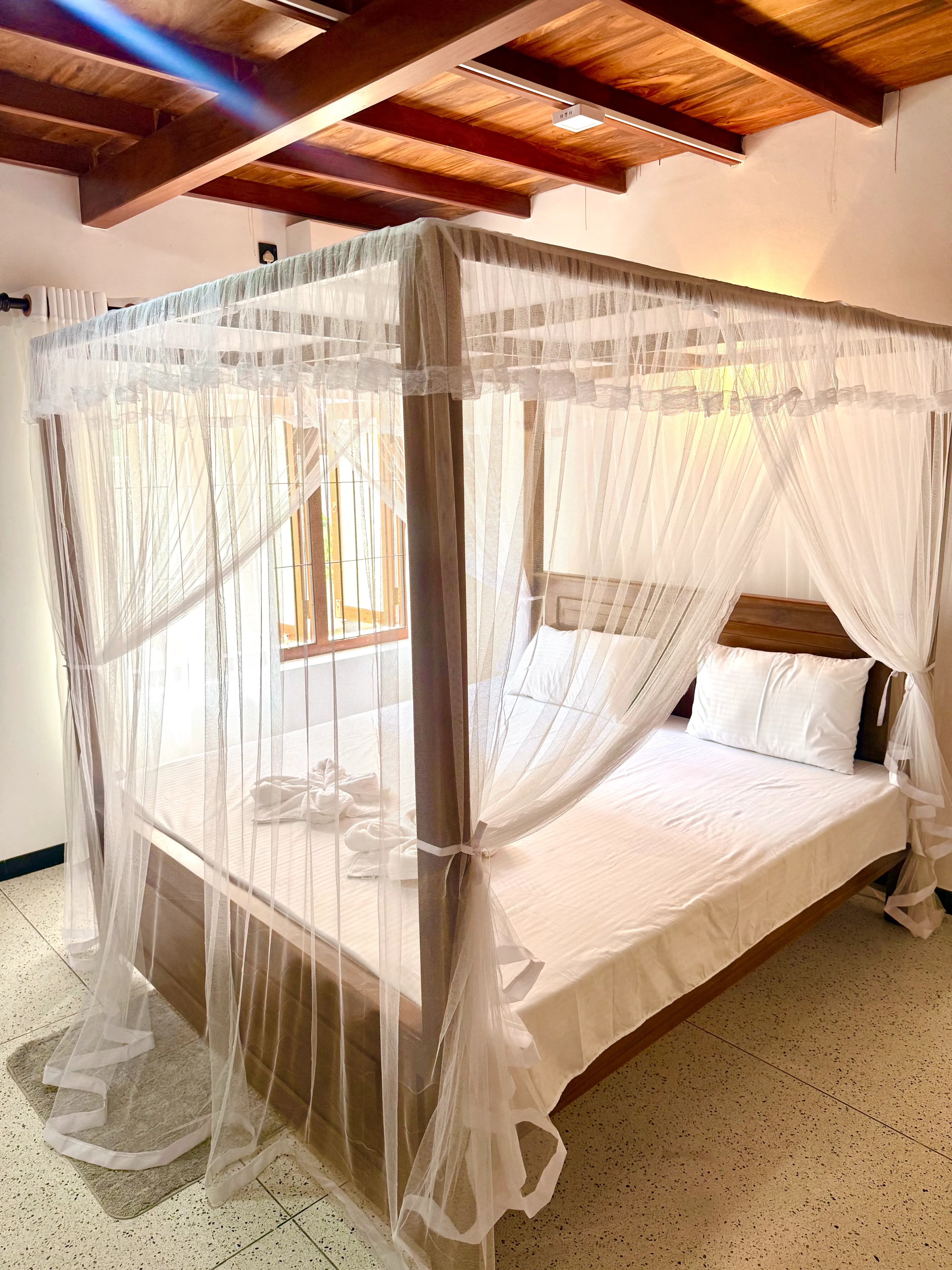 Karutha Colomban image 4