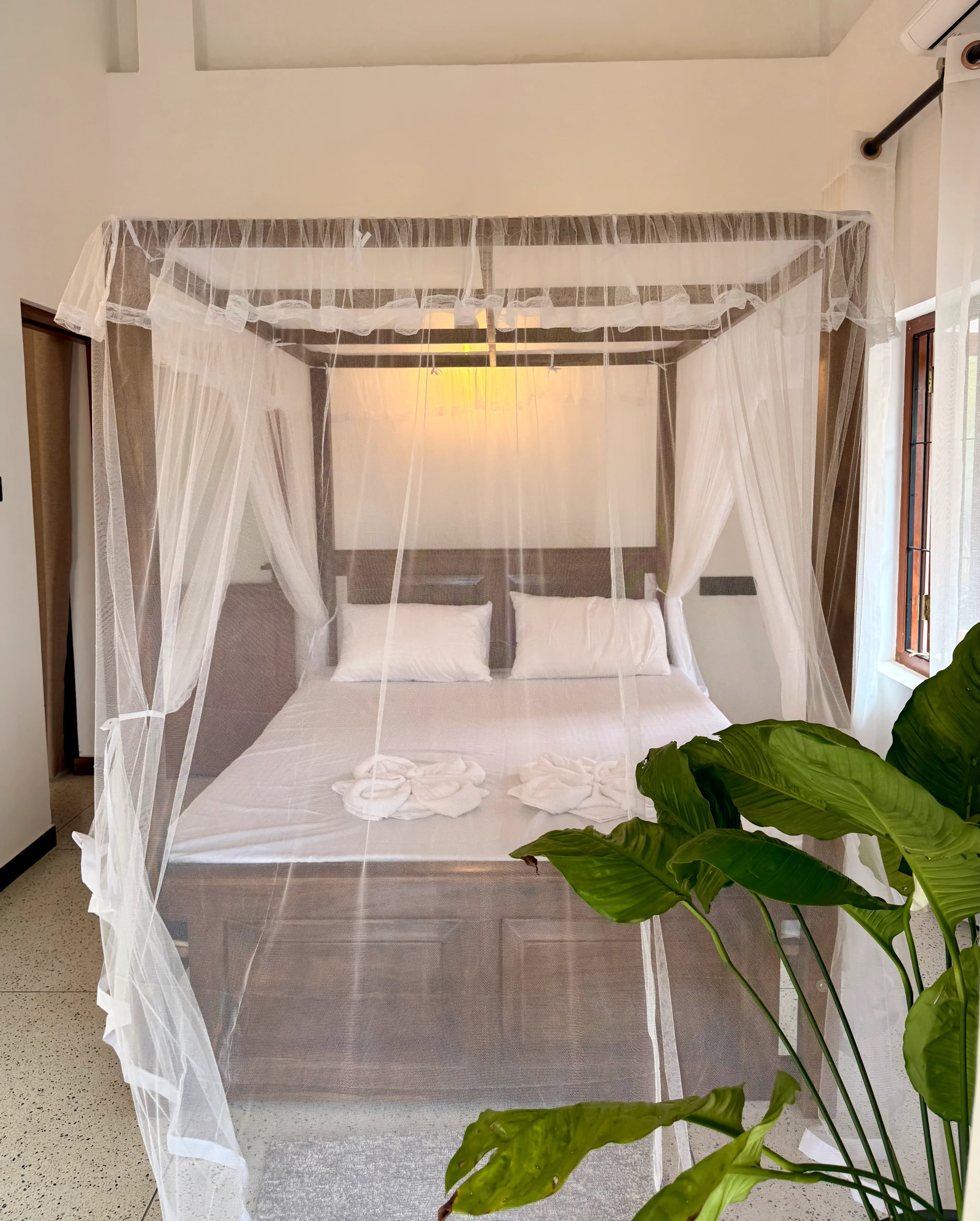 Karutha Colomban image 5